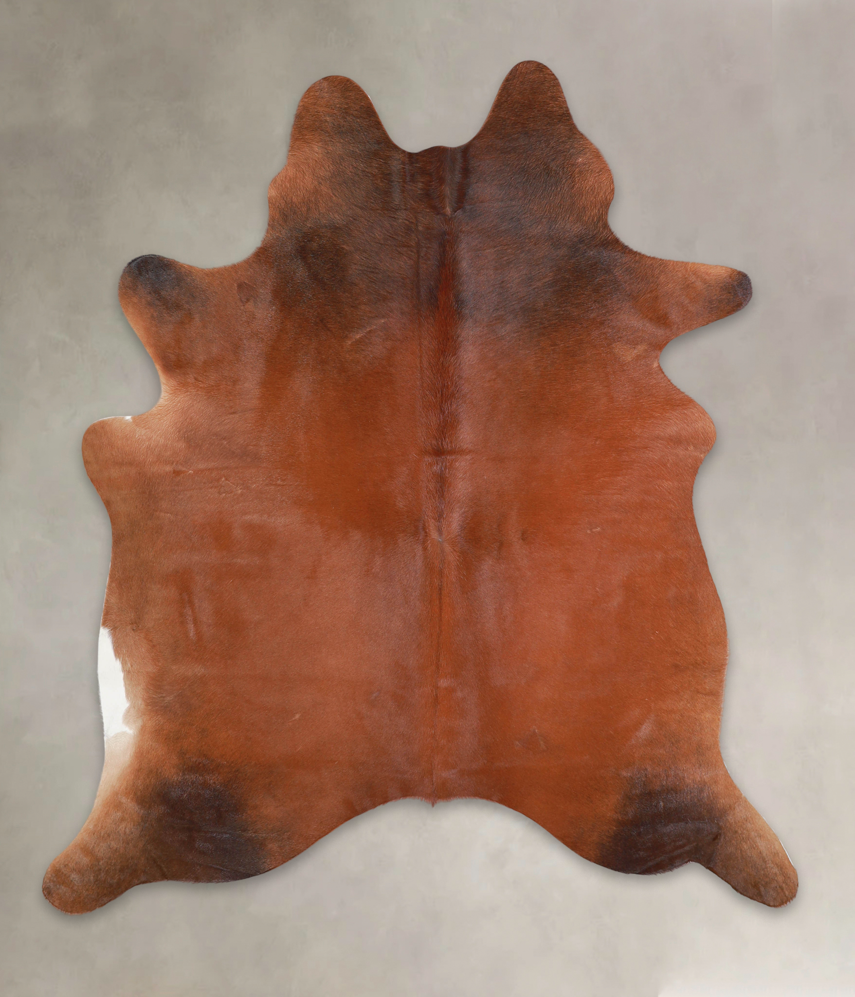 Brown with Red Cowhide Rug #A24414