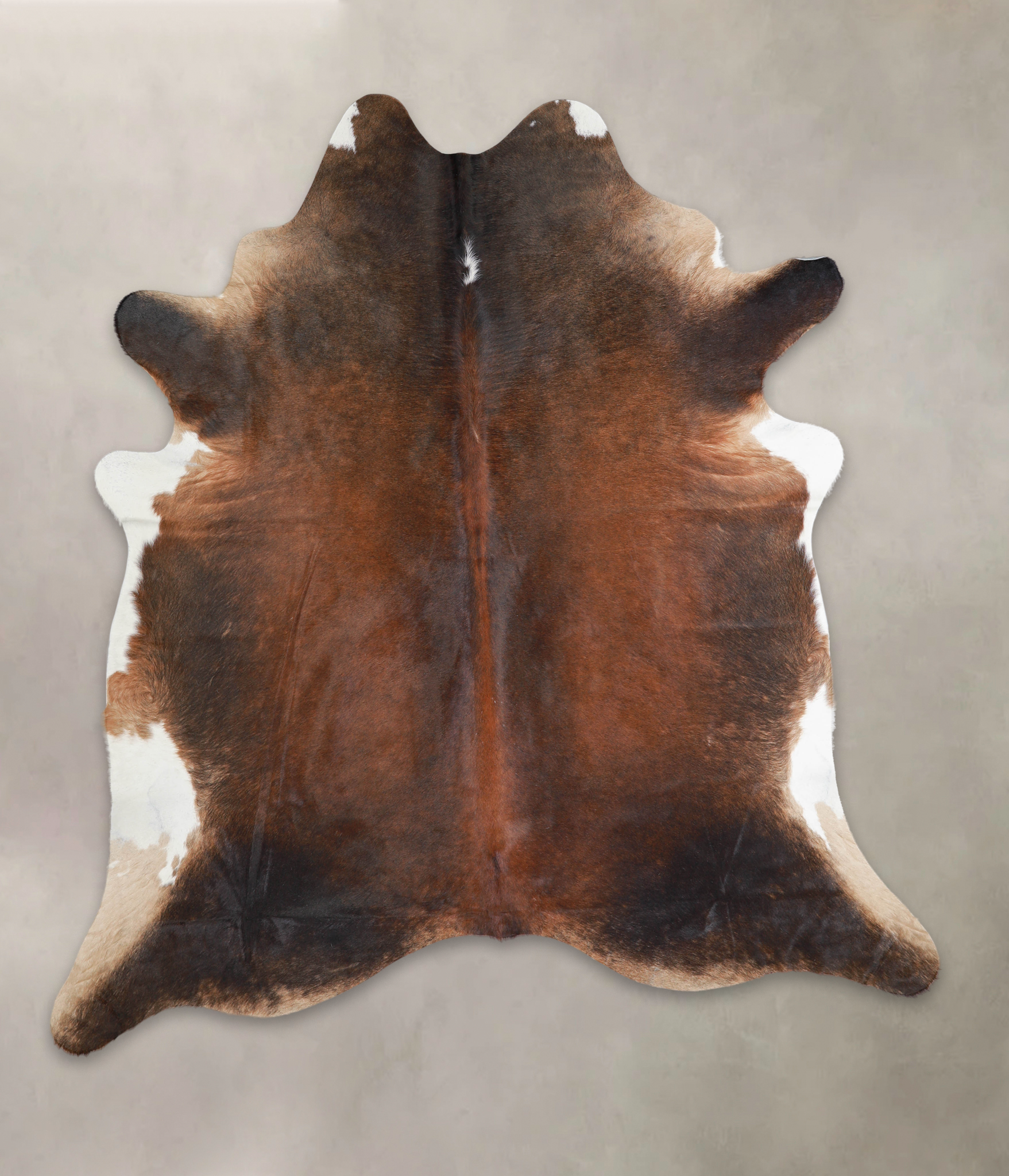 Brown with Red Cowhide Rug #A24422