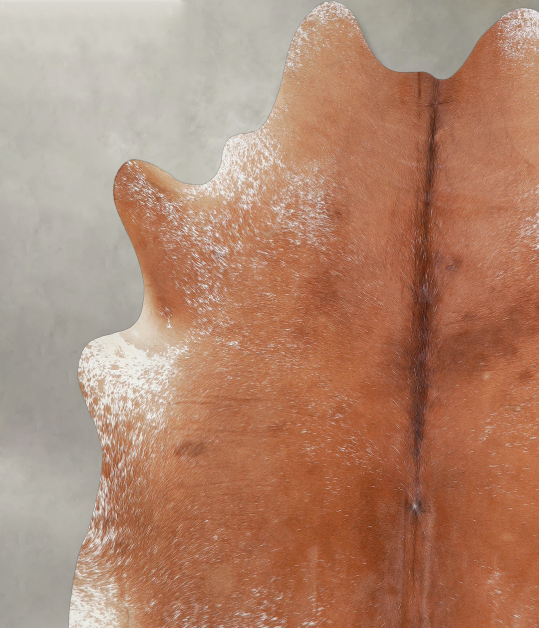 Solid Brown X-Large Brazilian Cowhide Rug 6'4"H x 6'8"W #A24424 by Hud