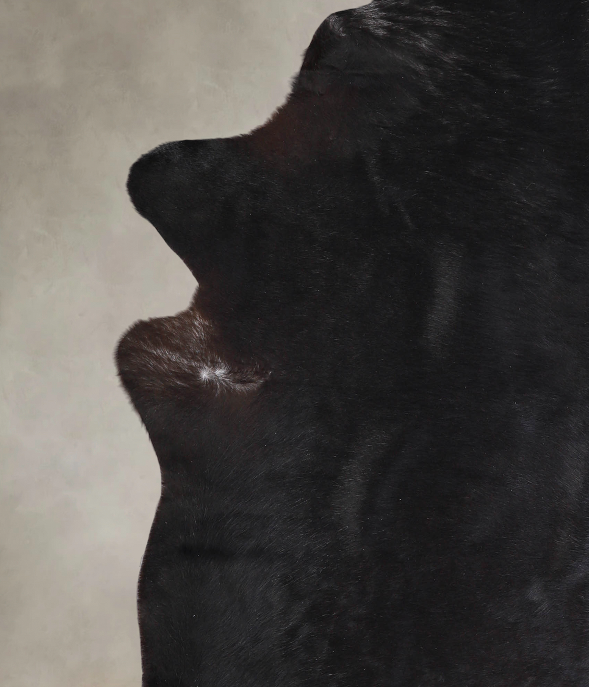 Solid Black XX-Large Brazilian Cowhide Rug 8'0"H x 6'11"W #A24435 by Hudson Hides