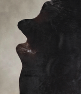 Solid Black XX-Large Brazilian Cowhide Rug 8'0"H x 6'11"W #A24435 by Hudson Hides