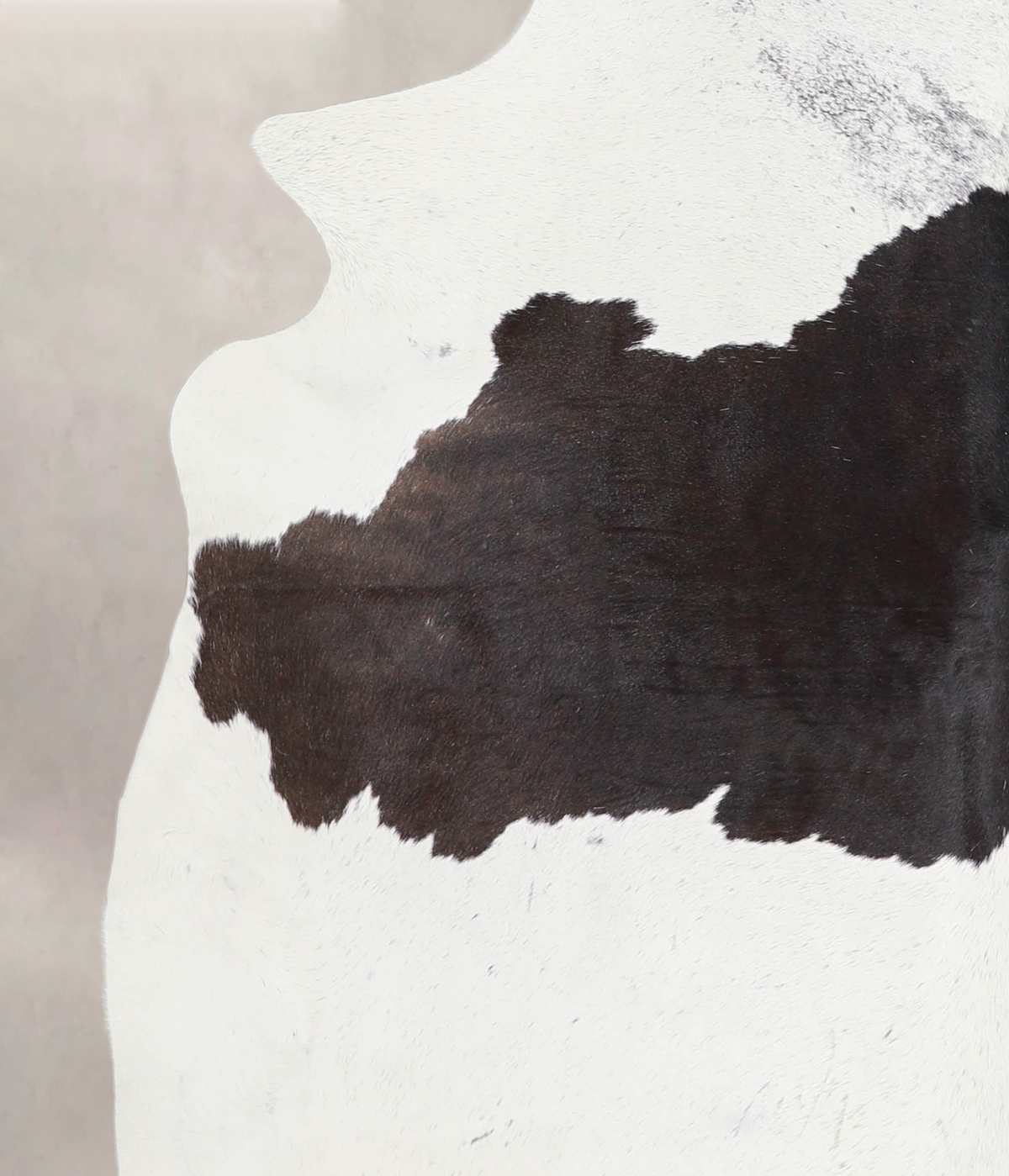 Chocolate and White X-Large Brazilian Cowhide Rug 6'3"H x 6'5"W #A24450 by Hudson Hides