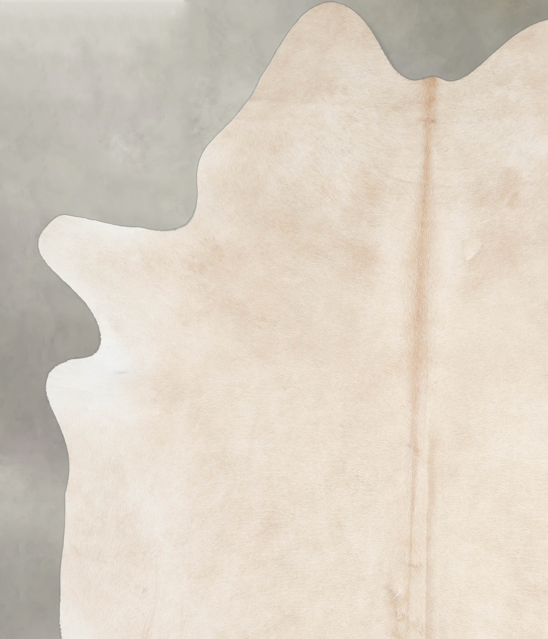 Beige X-Large Brazilian Cowhide Rug 6'9"H x 6'1"W #A24638 by Hudson Hi