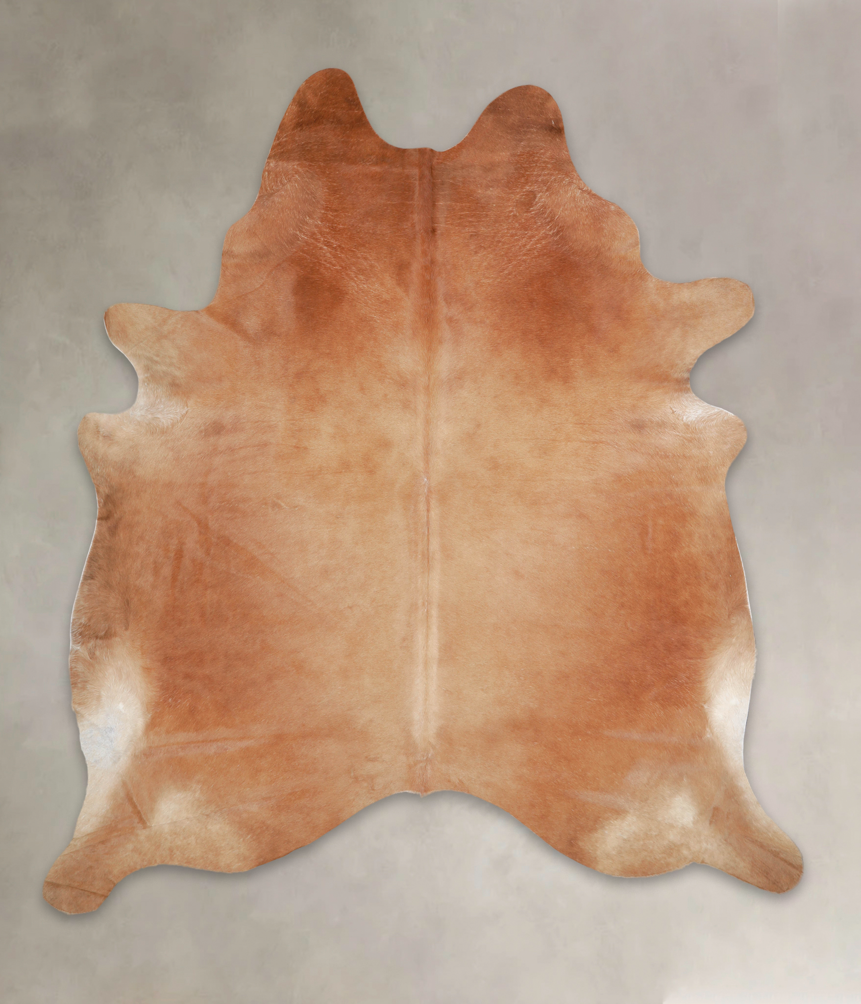 Solid Brown Cowhide Rug #A24639