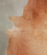 Solid Brown XX-Large Brazilian Cowhide Rug 7'11"H x 7'1"W #A24639 by Hudson Hides