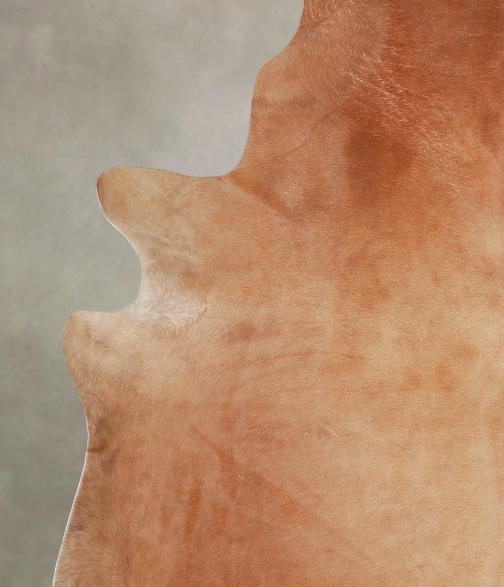 Solid Brown Cowhide Rug #A24639