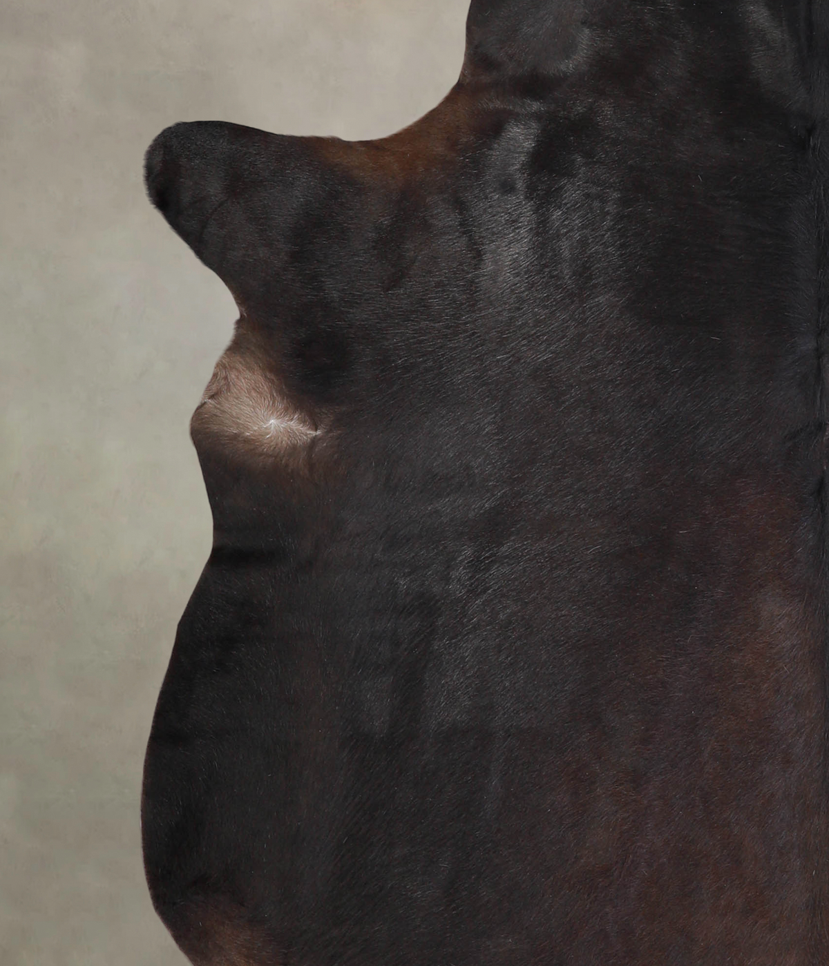 Solid Black Cowhide Rug #A24672
