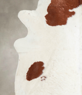 Brown and White XX-Large Brazilian Cowhide Rug 7'7"H x 7'1"W #A24682 by Hudson Hides