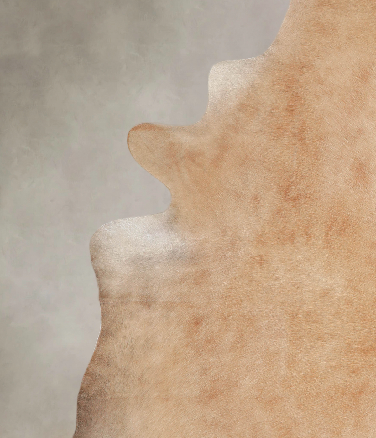 Beige XX-Large Brazilian Cowhide Rug 7'10"H x 7'1"W #A24725 by Hudson Hides