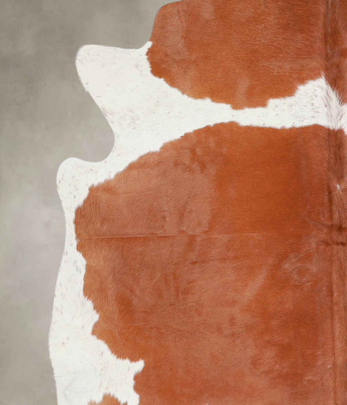Brown and White X-Large Brazilian Cowhide Rug 6'9"H x 7'2"W #A24821 by Hudson Hides