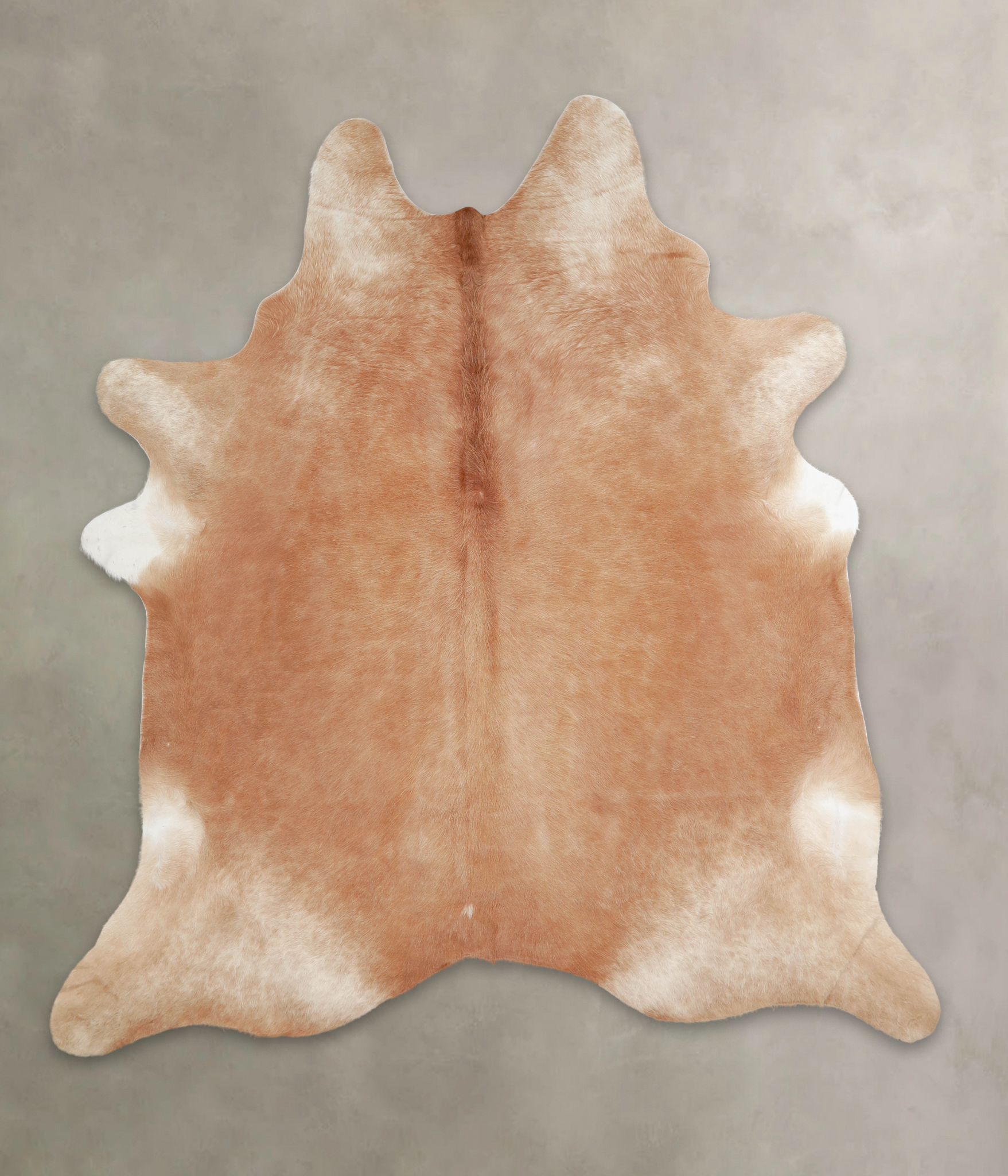 Solid Brown Cowhide Rug #A24836