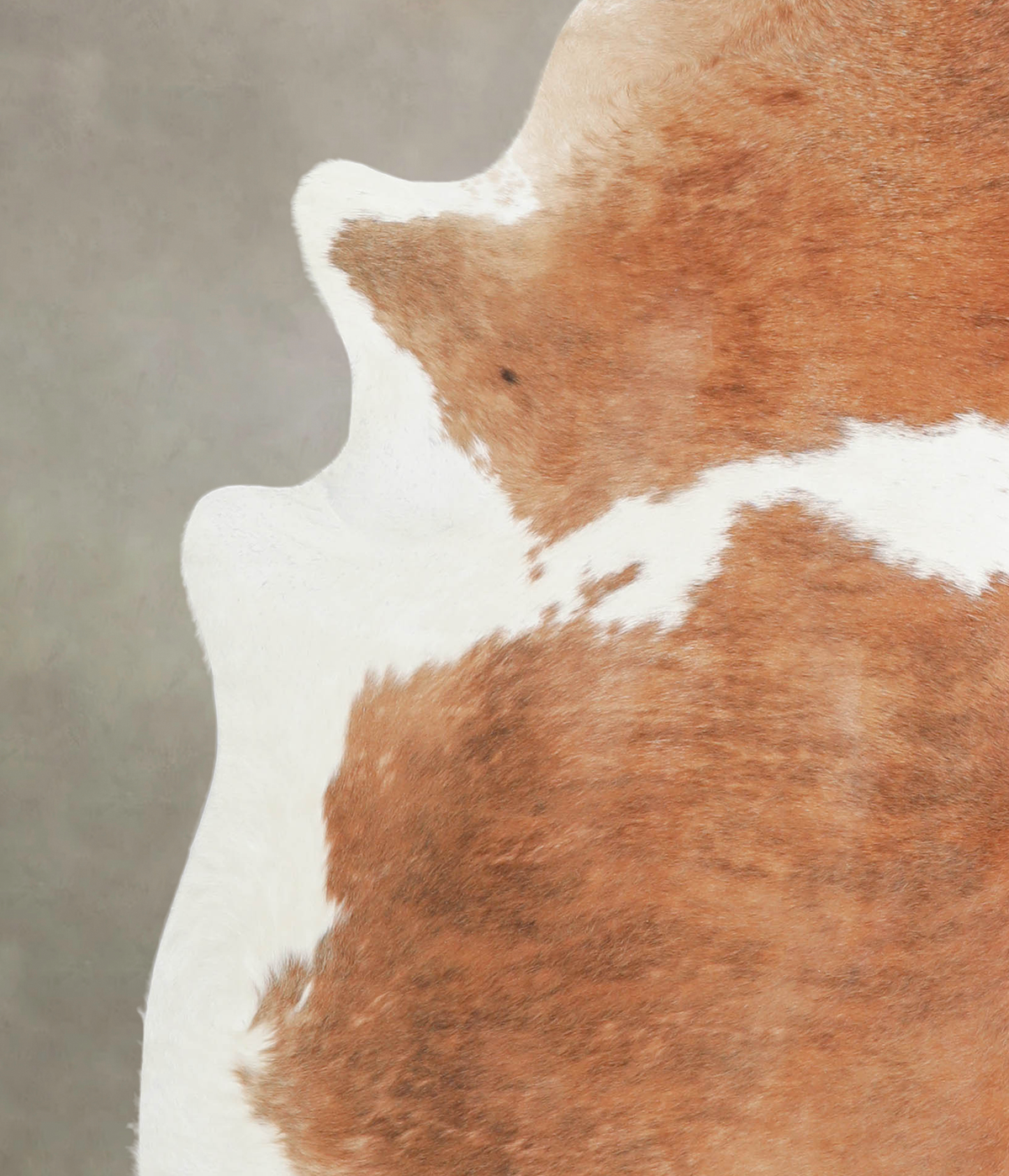 Brown and White X-Large Brazilian Cowhide Rug 7'4"H x 6'8"W #A24915 by Hudson Hides