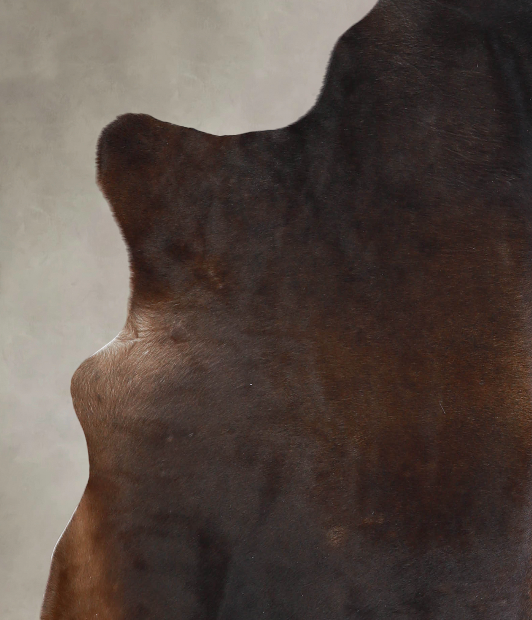 Chocolate Cowhide Rug #A24930