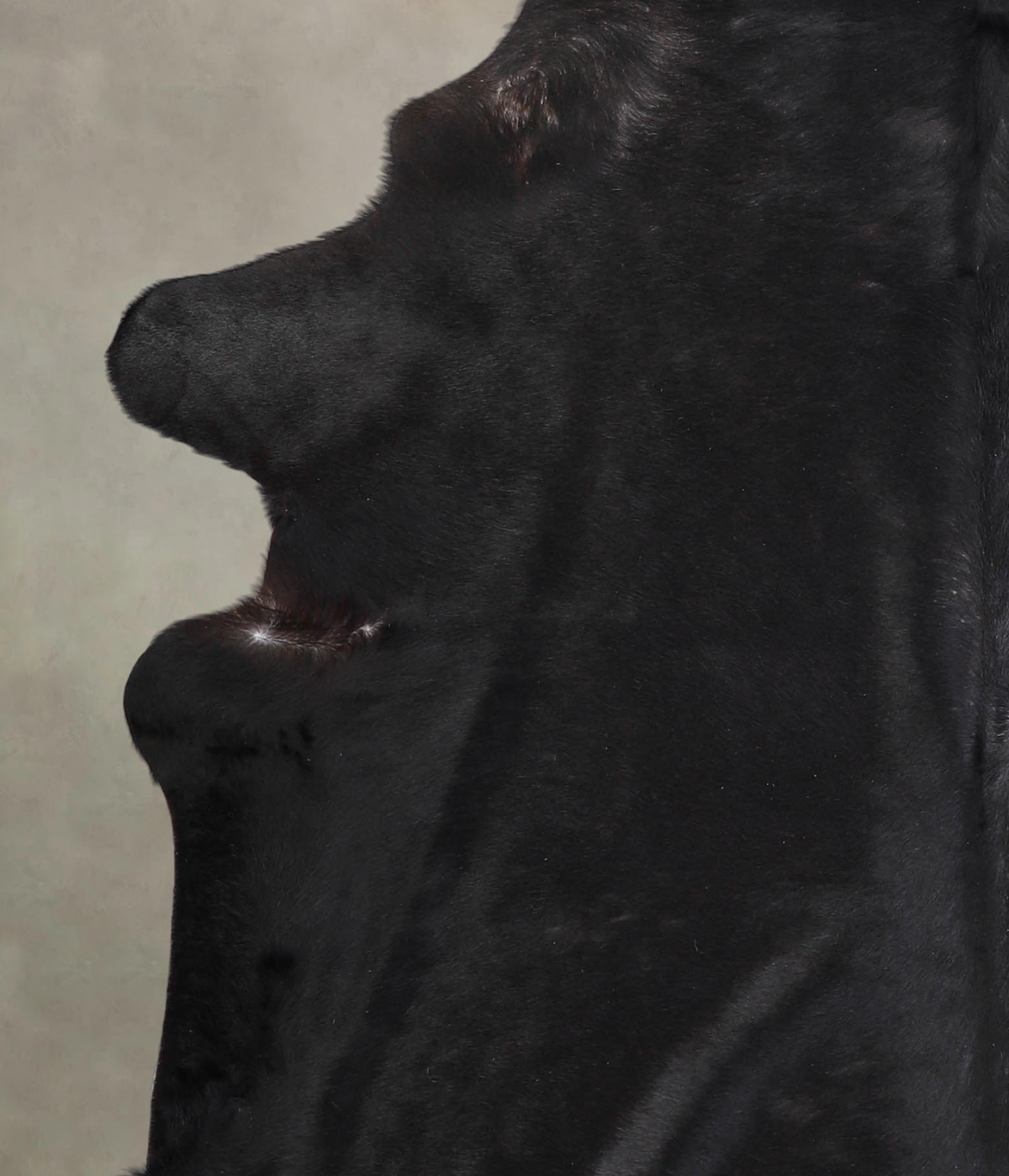 Solid Black Cowhide Rug #A24981