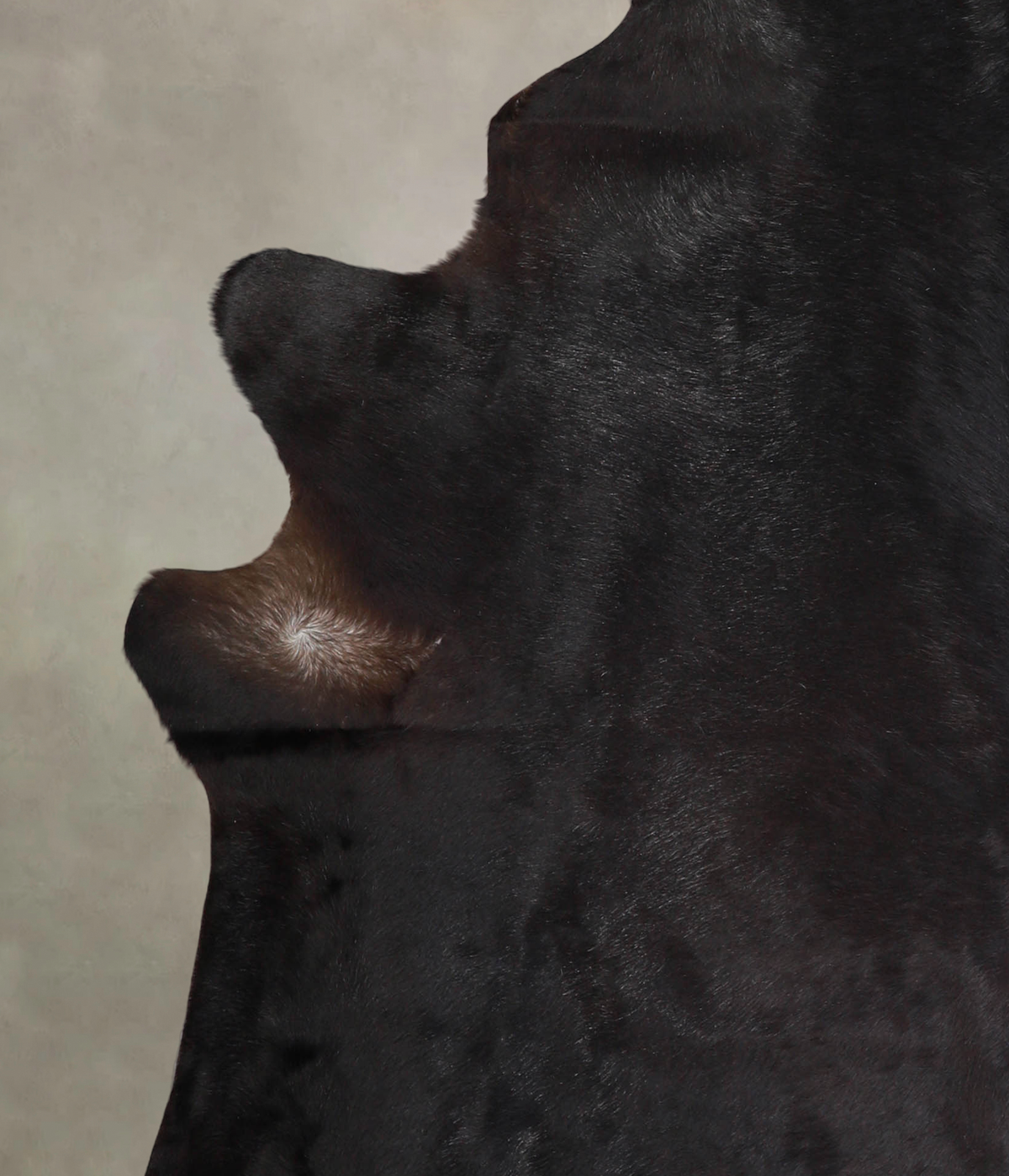 Solid Black Cowhide Rug #A24982