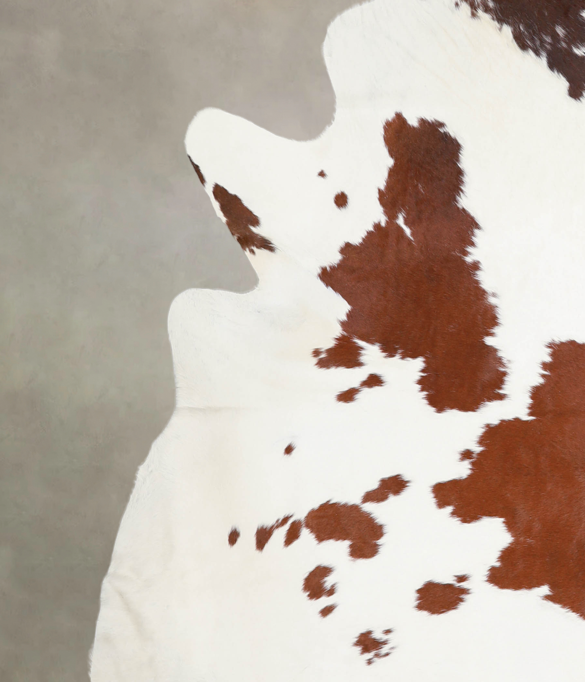 Brown and White XX-Large Brazilian Cowhide Rug 7'8"H x 7'4"W #A24994 by Hudson Hides