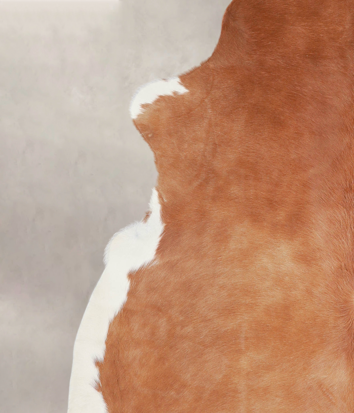 Brown and White X-Large Brazilian Cowhide Rug 7'4"H x 6'5"W #A25003 by Hudson Hides