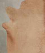 Beige X-Large Brazilian Cowhide Rug 7'3"H x 6'7"W #A25012 by Hudson Hides