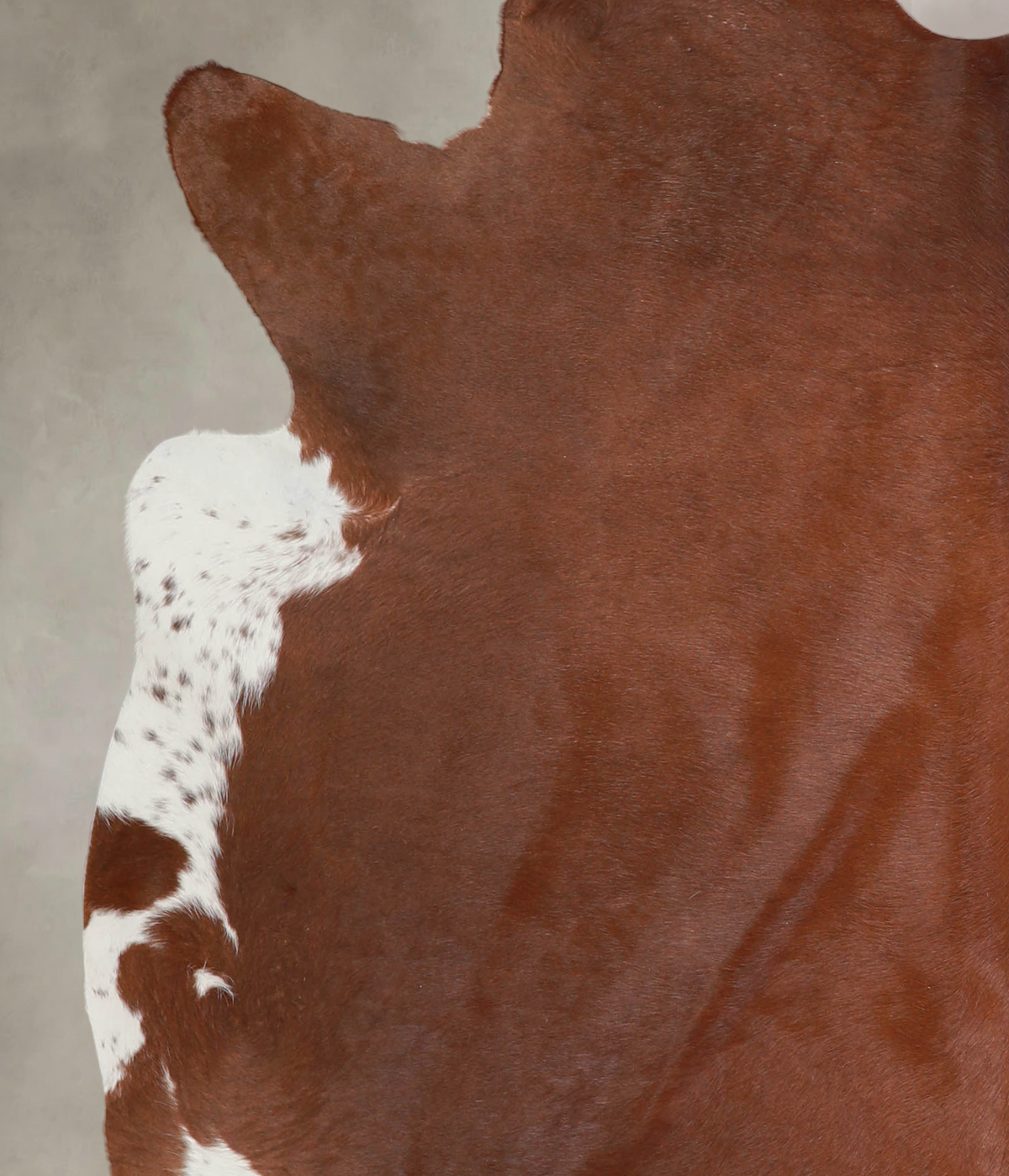 Solid Brown X-Large Brazilian Cowhide Rug 6'10"H x 6'7"W #A25067 by Hudson Hides