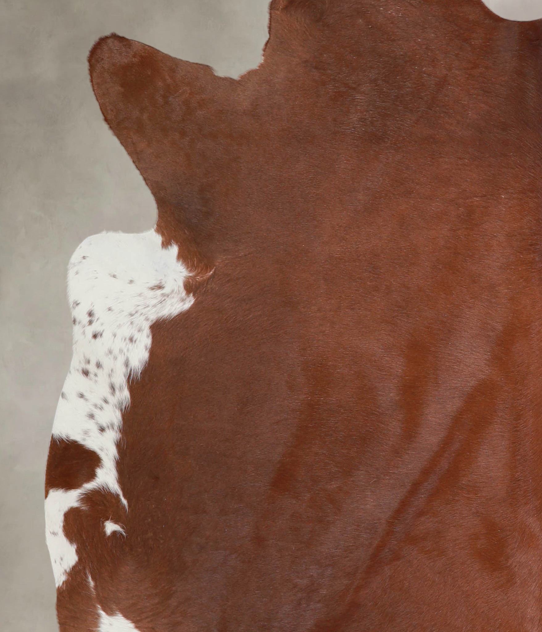 Solid Brown Cowhide Rug #A25067