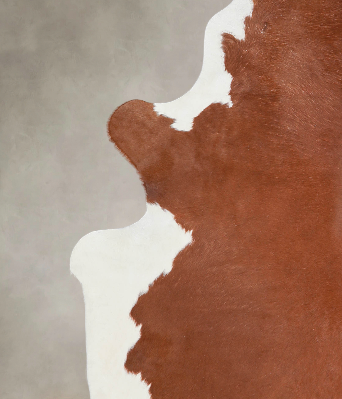 Hereford XX-Large Brazilian Cowhide Rug 7'8"H x 6'7"W #A25070 by Hudson Hides