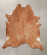 Solid Brown XX-Large Brazilian Cowhide Rug 7'11"H x 7'0"W #A25094 by Hudson Hides