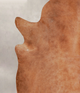 Solid Brown XX-Large Brazilian Cowhide Rug 7'11"H x 7'0"W #A25094 by Hudson Hides