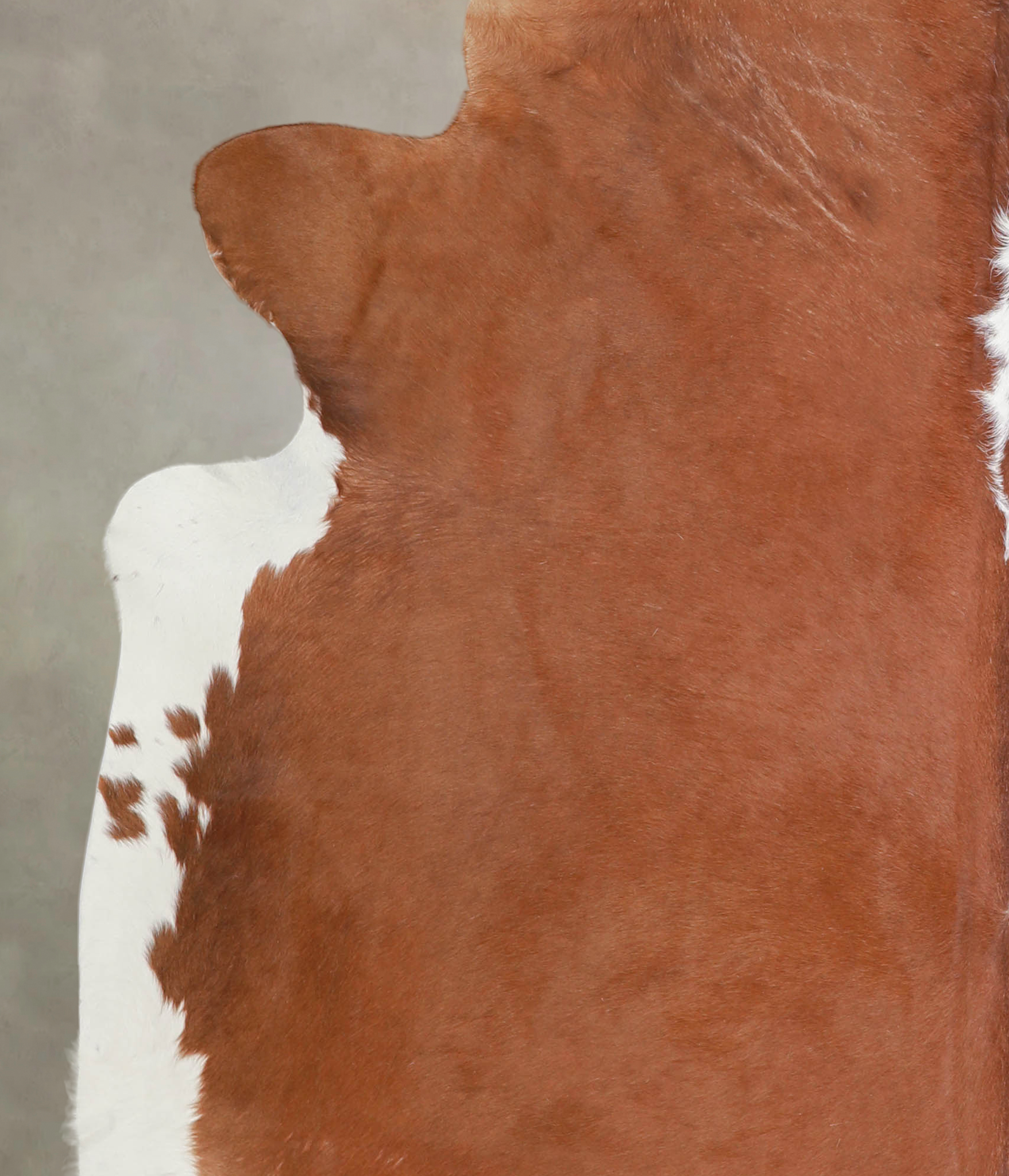 Brown and White Regular Cowhide Rug #A25125