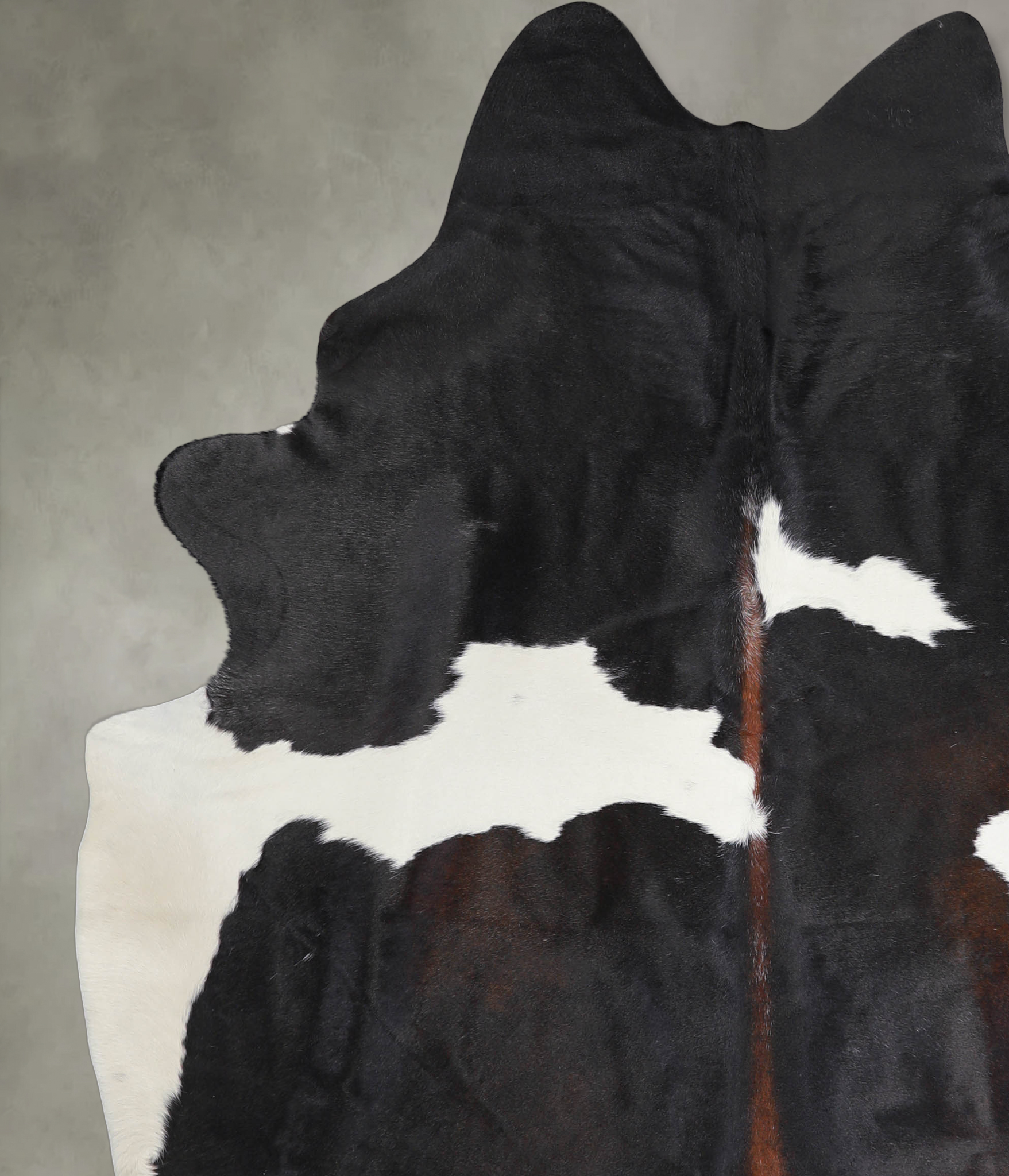 Chocolate and White Cowhide Rug #A25135