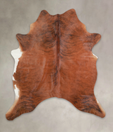 Medium Brindle X-Large Brazilian Cowhide Rug 7'1"H x 6'3"W #A25152 by Hudson Hides