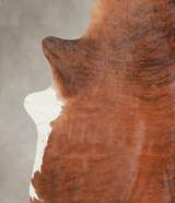 Medium Brindle X-Large Brazilian Cowhide Rug 7'1"H x 6'3"W #A25152 by Hudson Hides