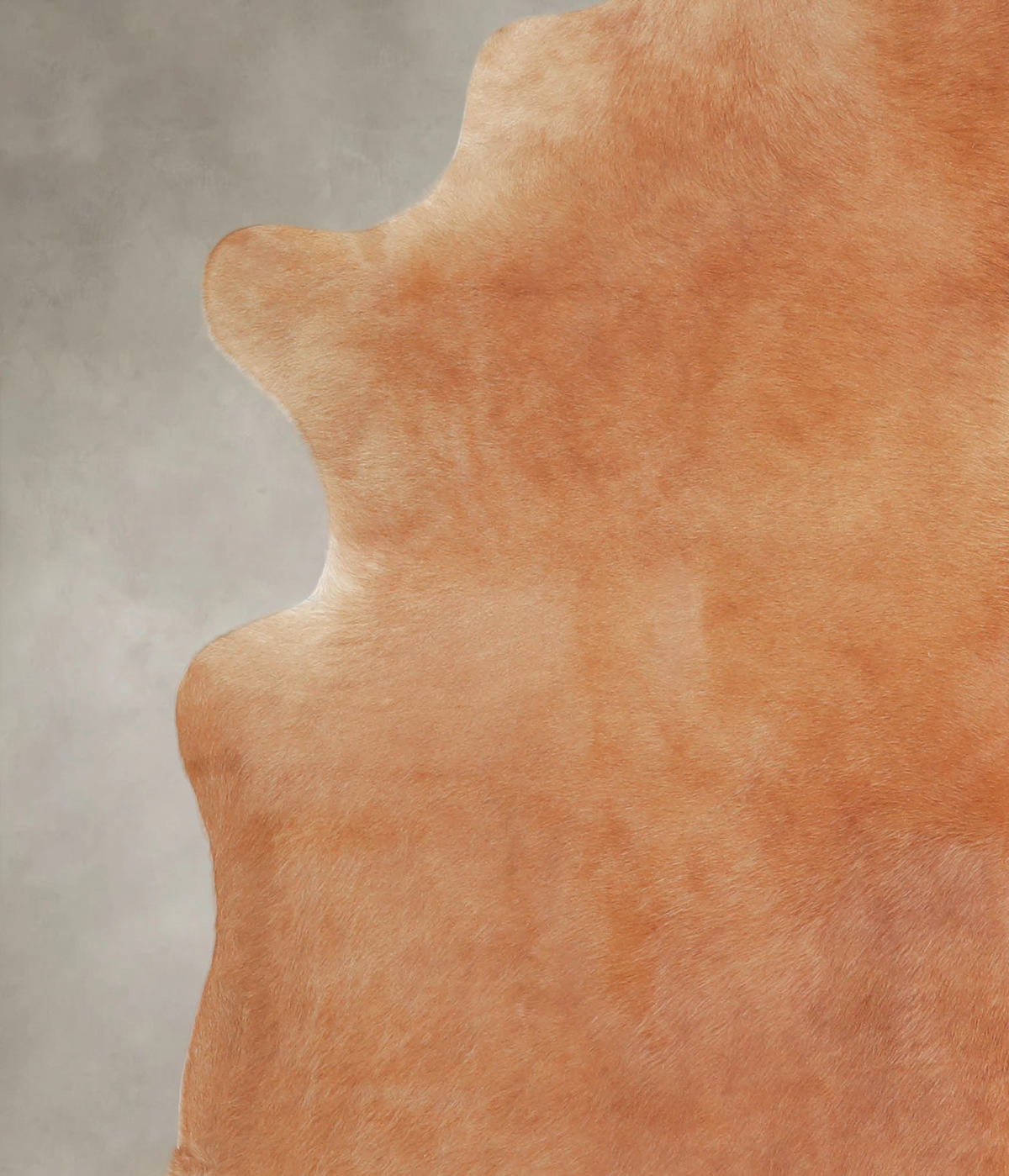 Solid Brown X-Large Brazilian Cowhide Rug 7'3"H x 6'3"W #A25181 by Hudson Hides