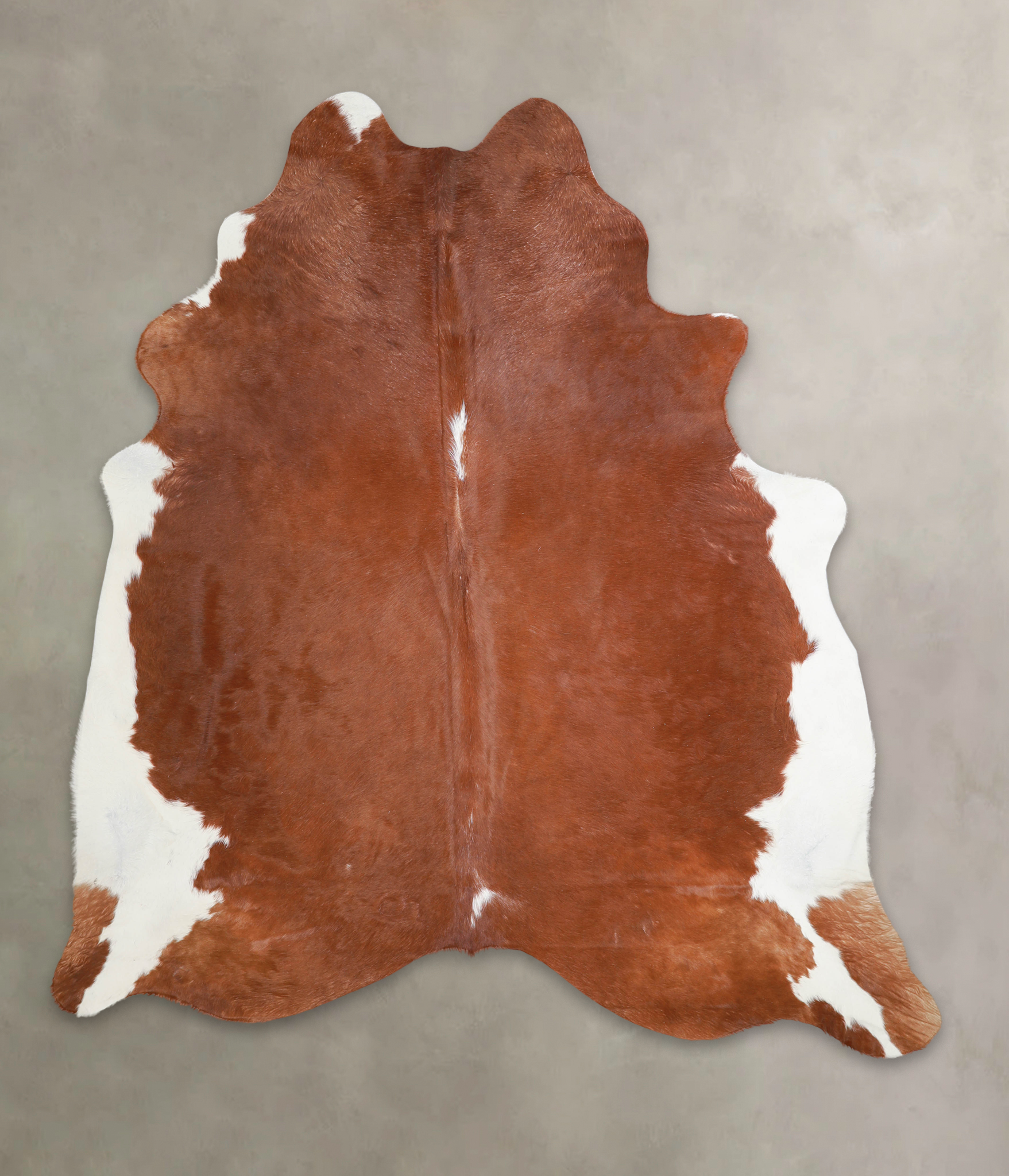 Brown and White Regular Cowhide Rug #A25192