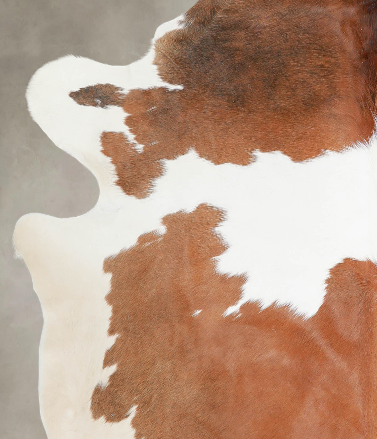 Brown and White X-Large Brazilian Cowhide Rug 7'0"H x 6'4"W #A25264 by Hudson Hides