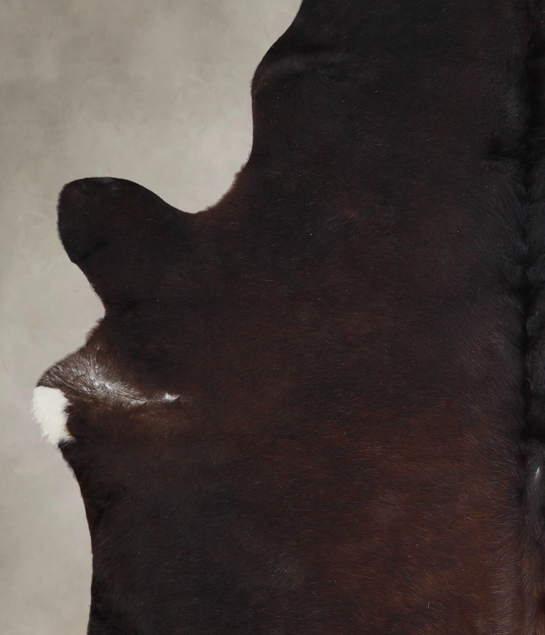 Chocolate Cowhide Rug #A25288