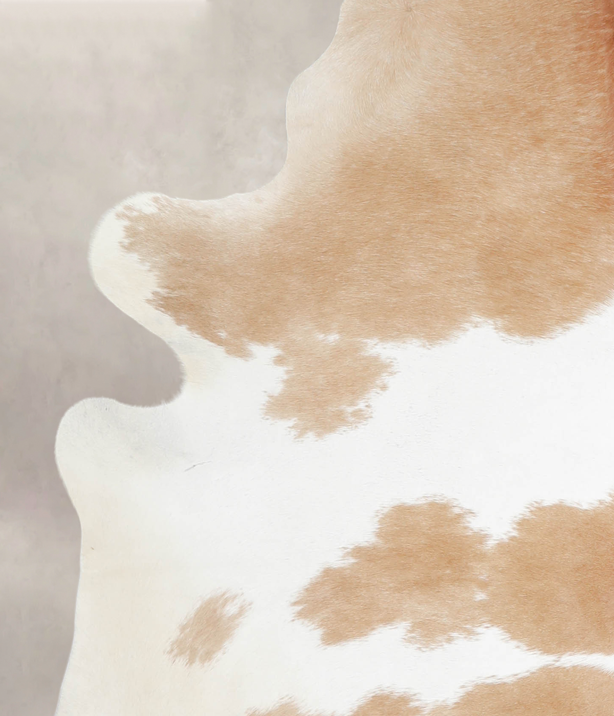 Beige and White X-Large Brazilian Cowhide Rug 7'0"H x 5'10"W #A25311 by Hudson Hides