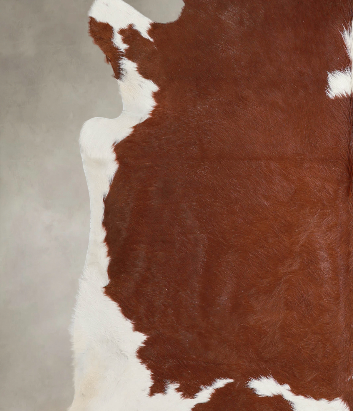 Brown and White X-Large Brazilian Cowhide Rug 6'10"H x 7'1"W #A25327 by Hudson Hides
