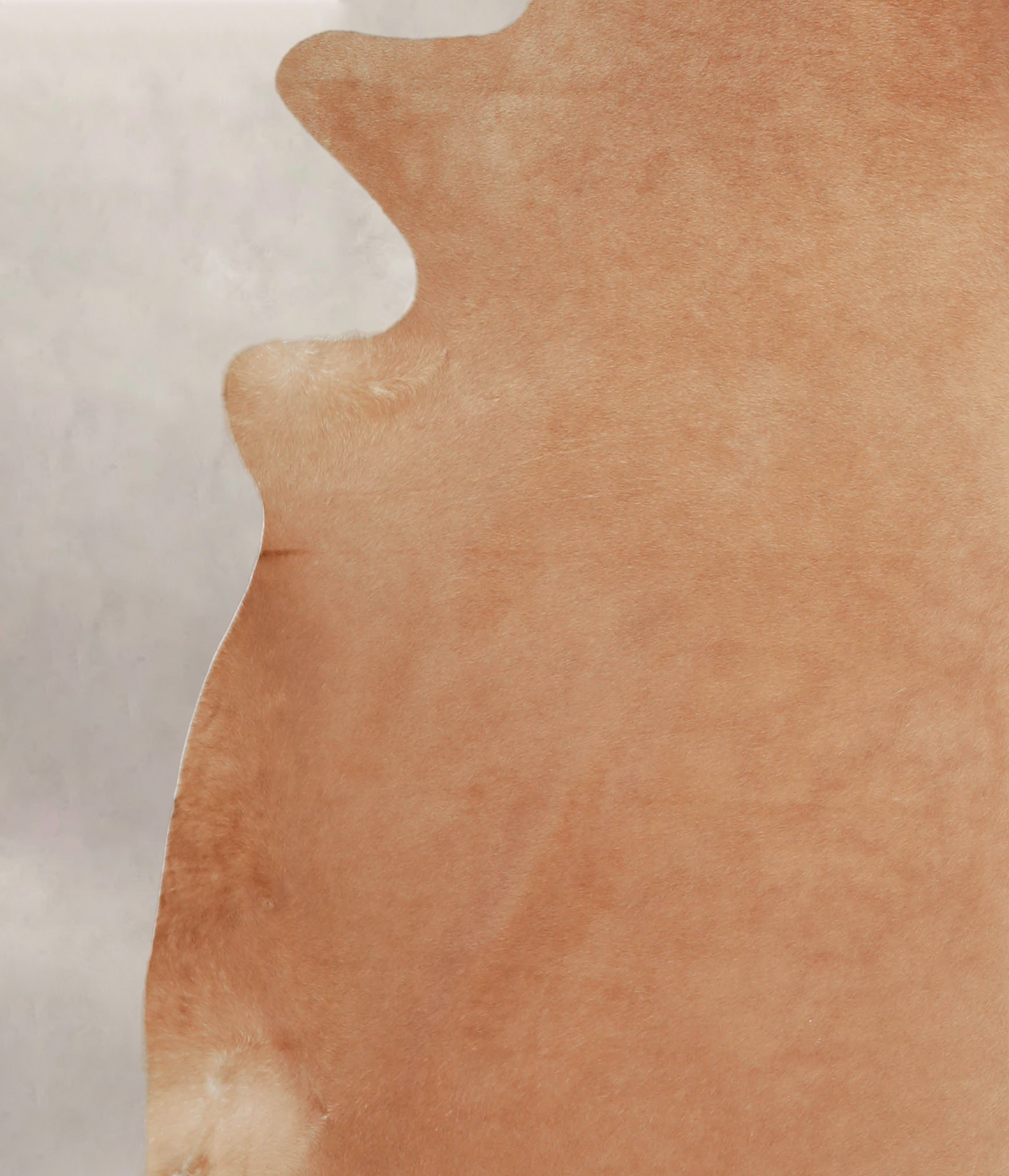 Solid Brown Cowhide Rug #A25364