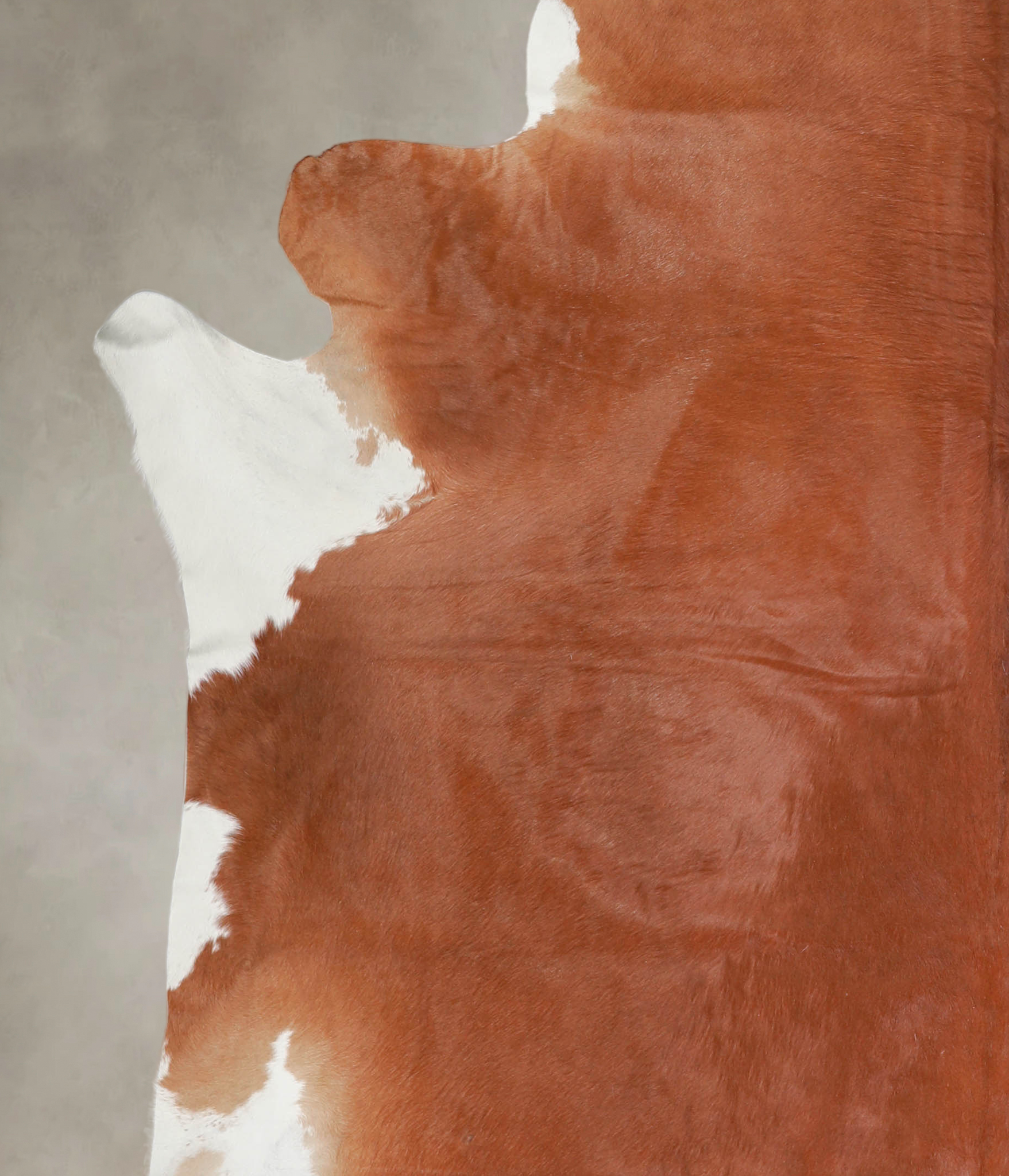 Solid Brown Cowhide Rug #A25377