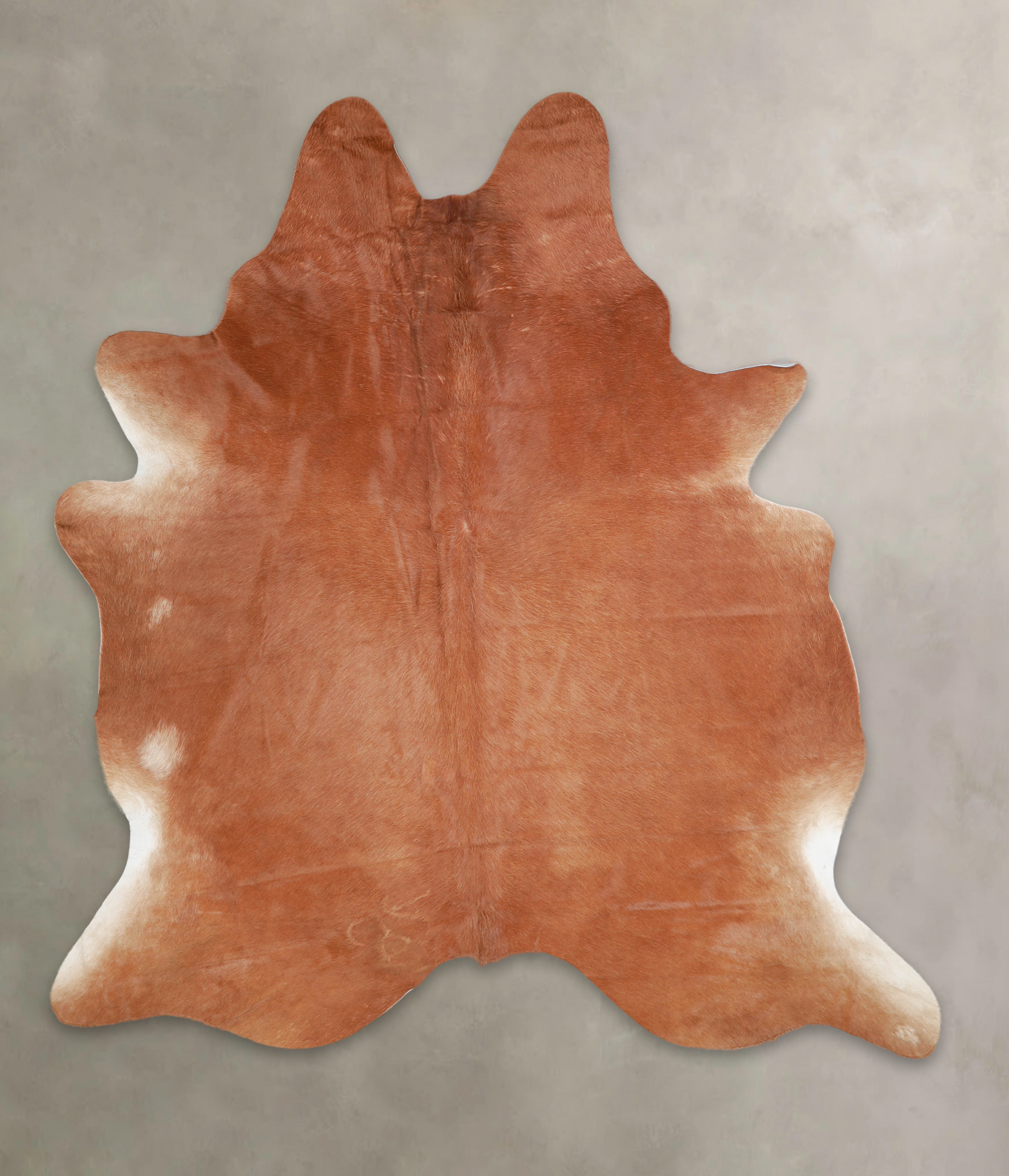 Solid Brown Cowhide Rug #A25383
