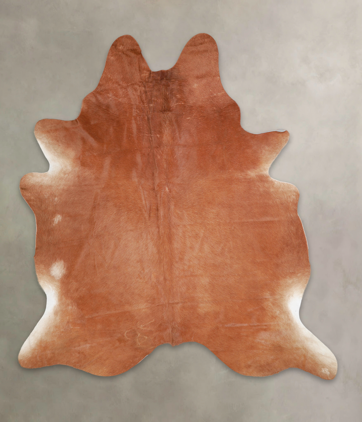 Solid Brown X-Large Brazilian Cowhide Rug 7'1"H x 6'5"W #A25383 by Hudson Hides