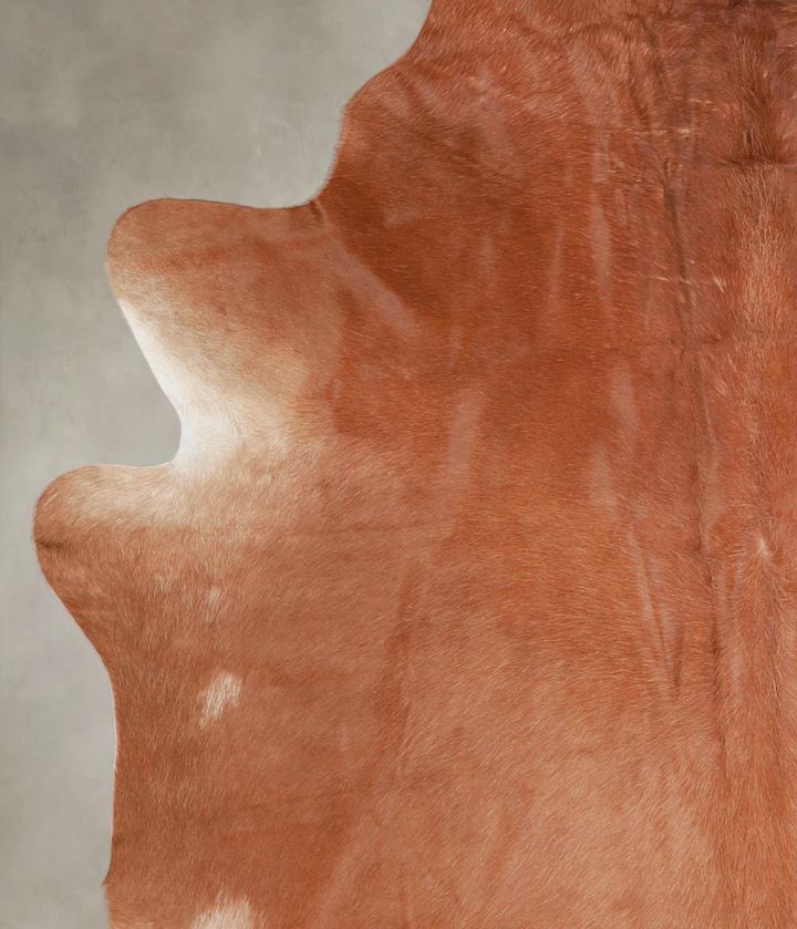 Solid Brown X-Large Brazilian Cowhide Rug 7'1"H x 6'5"W #A25383 by Hudson Hides