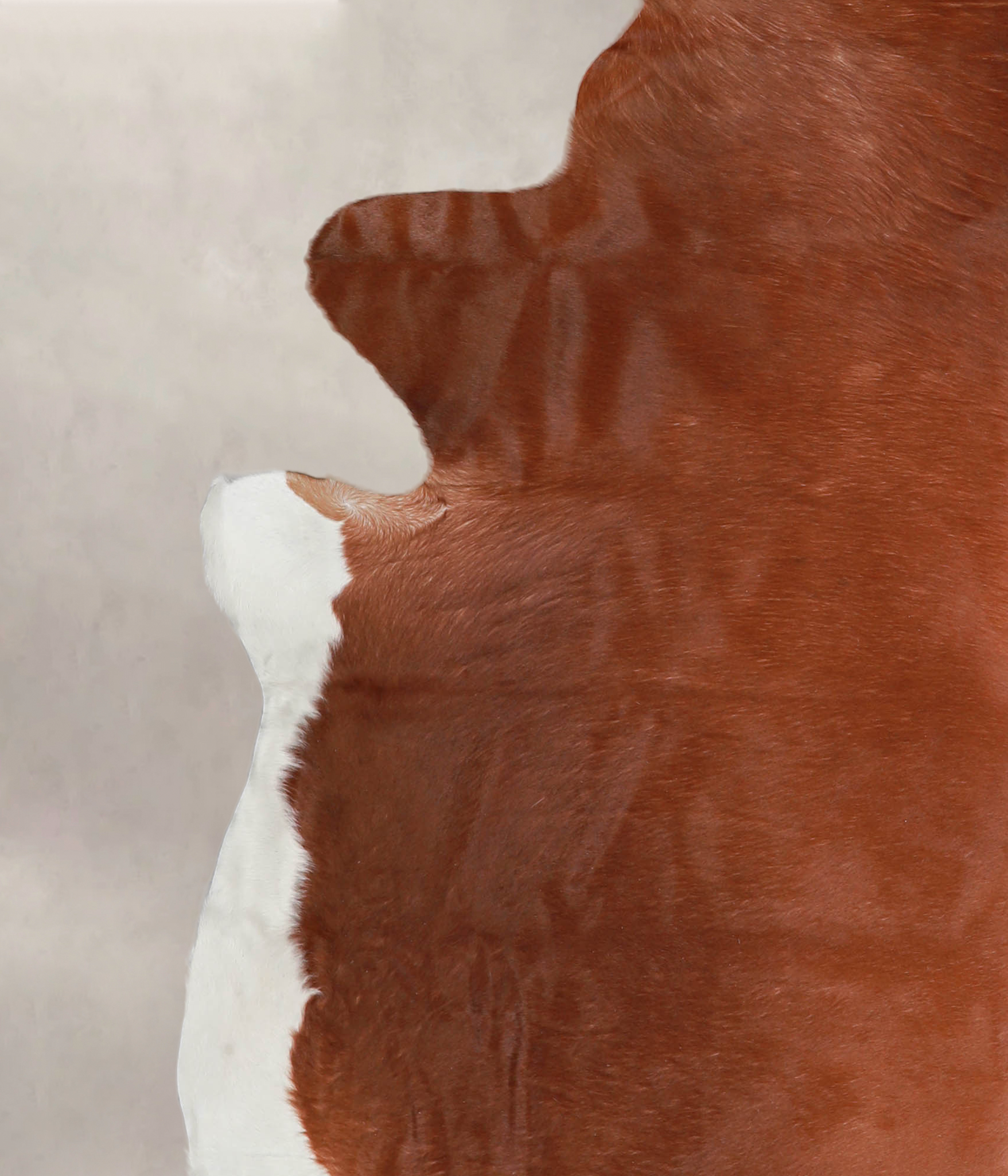 Solid Brown Cowhide Rug #A25386
