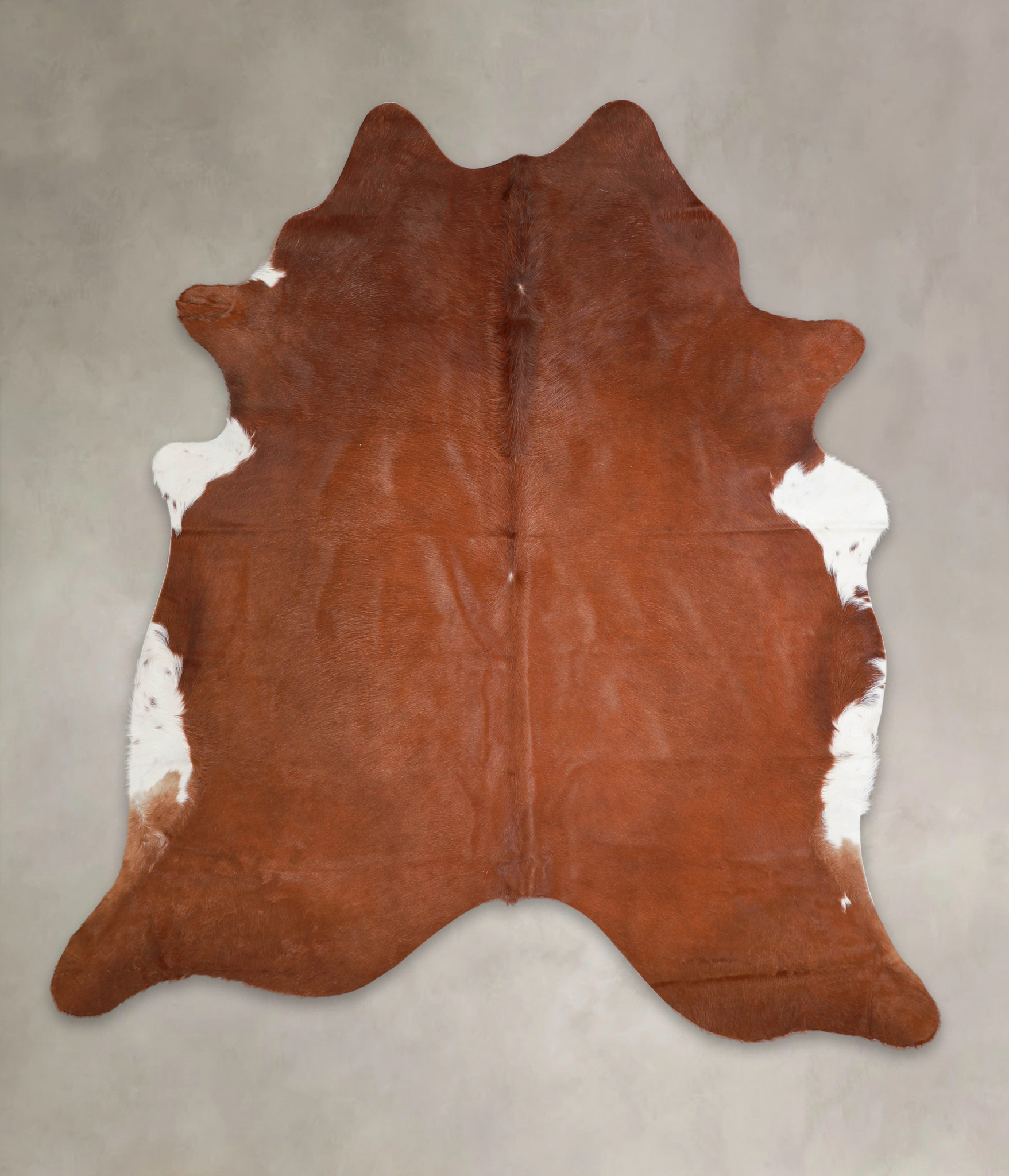Brown and White Regular Cowhide Rug #A25394
