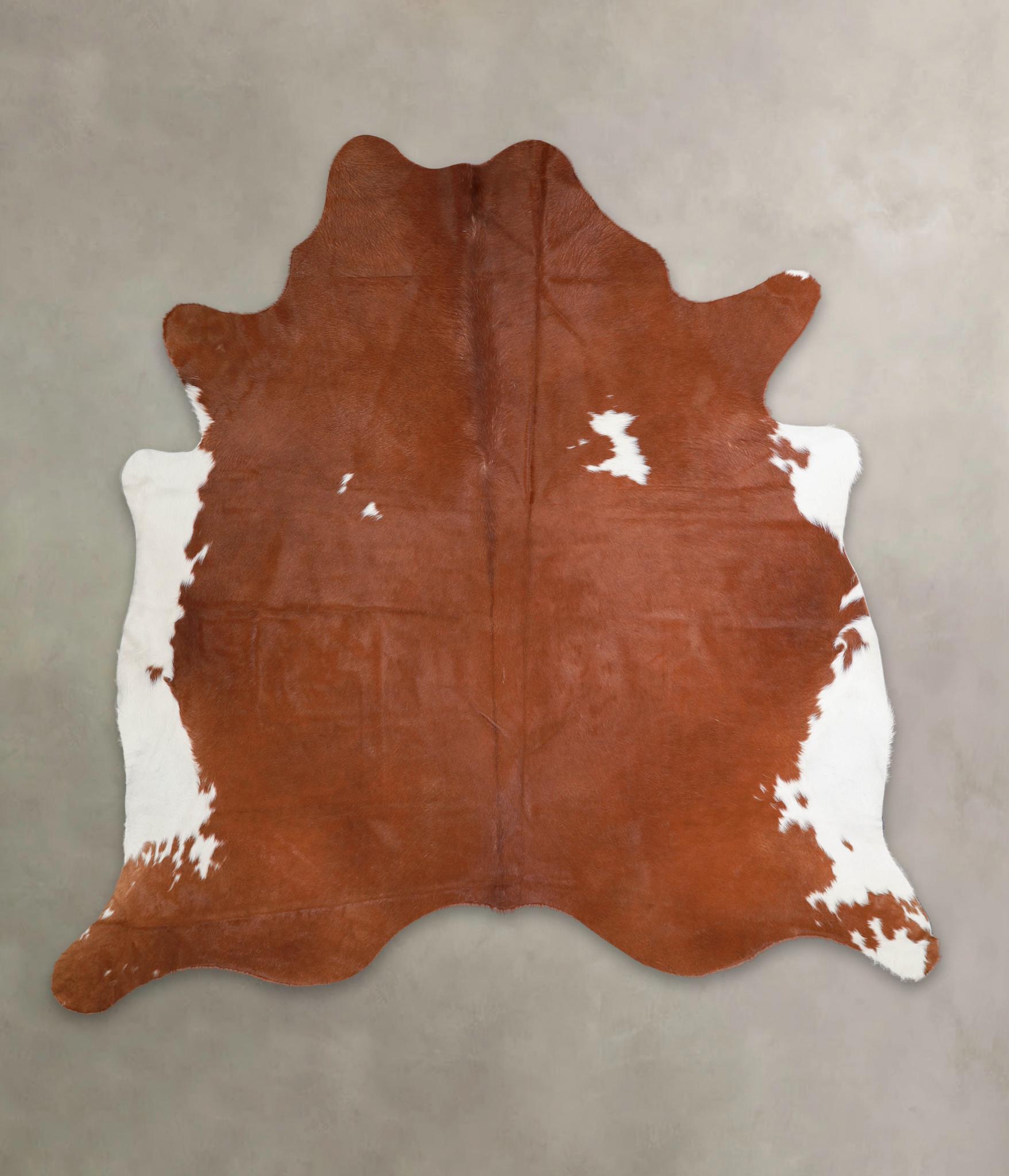 Brown and White Regular Cowhide Rug #A25395