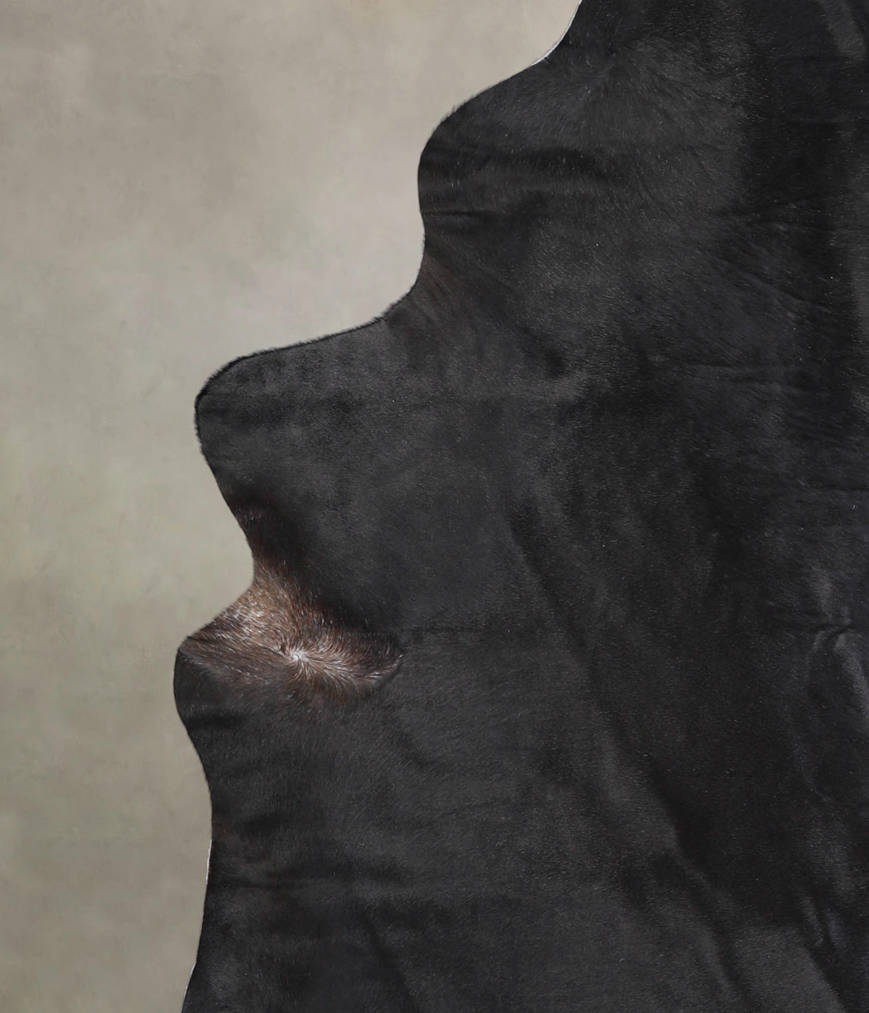 Solid Black Cowhide Rug #A25399
