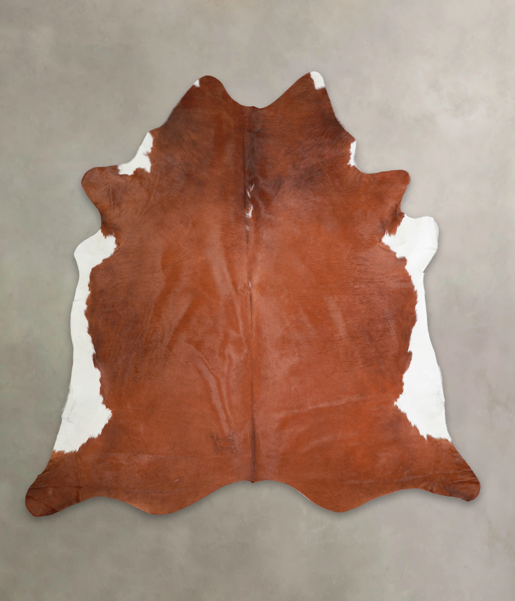 Brown and White Regular Cowhide Rug #A25421