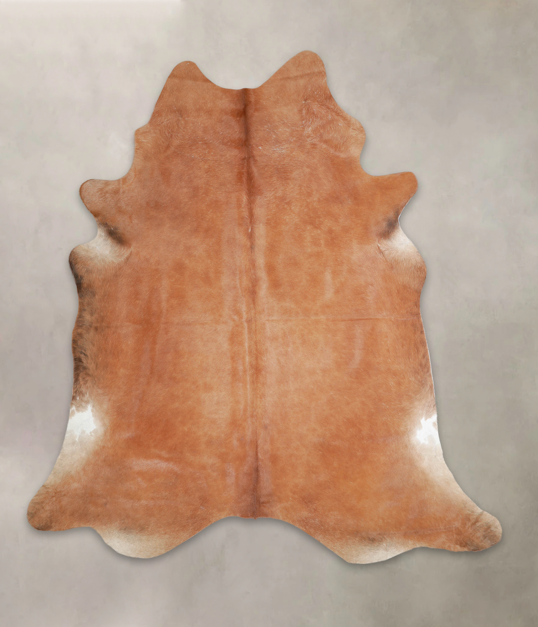 Solid Brown Cowhide Rug #A25422
