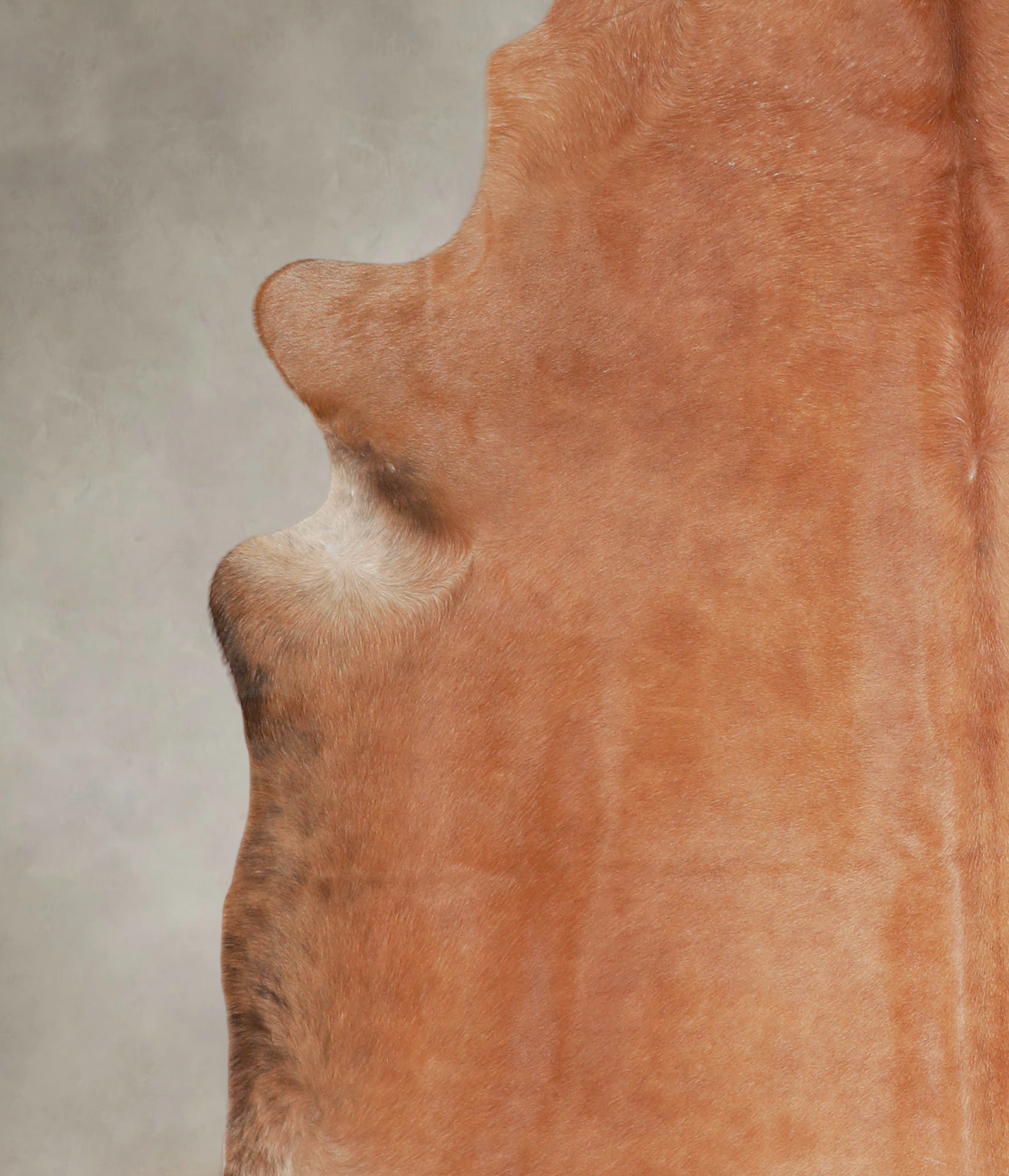 Solid Brown Cowhide Rug #A25422
