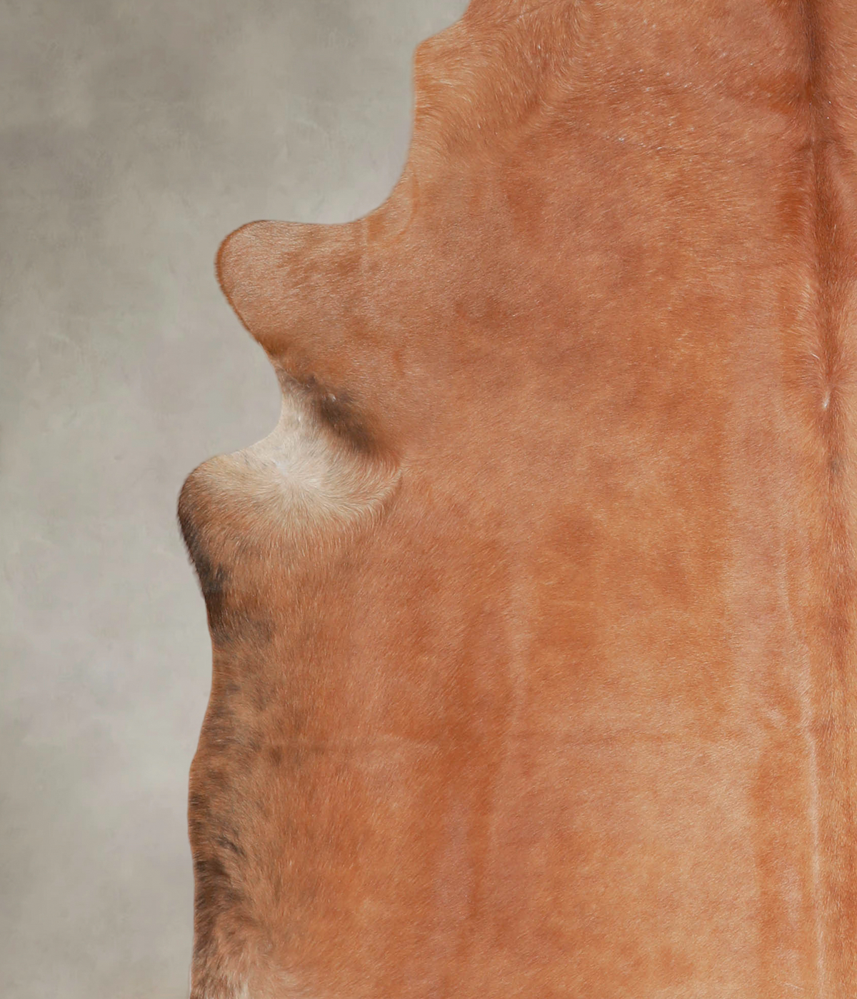 Solid Brown XX-Large Brazilian Cowhide Rug 7'6"H x 6'11"W #A25422 by Hudson Hides